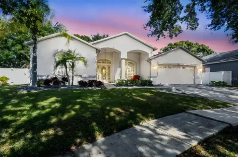 9204 Grand Palm Ct, Riverview, FL 33578