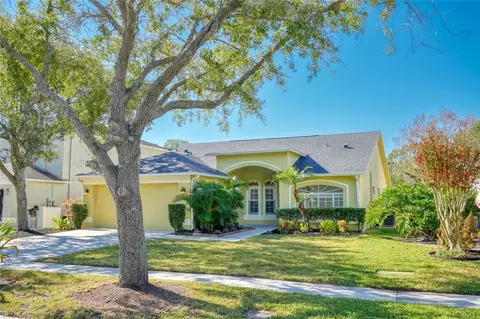 15404 Sir Maxwell Ct, Odessa, FL 33556