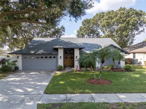 2634 Green Valley St, Valrico, FL 33596