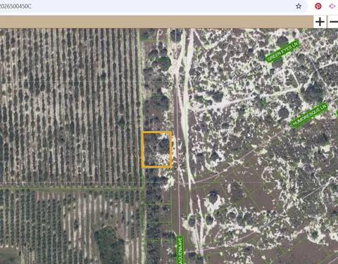 725 Malaguena Ave, Lake Placid, FL 33852