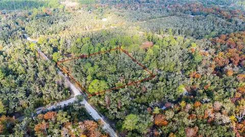 0 Rose Bloom Lot 5 Ave, Webster, FL 33597