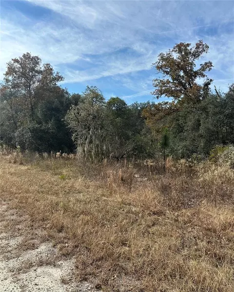lot26 SE 133rd Ave, Dunnellon, FL 34434