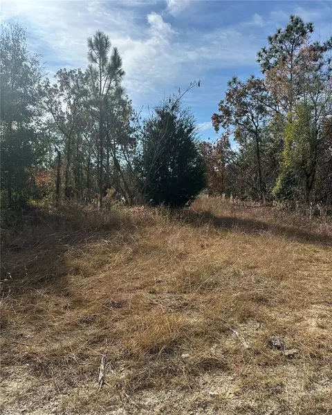 lot2 NE 151st Ter, Williston, FL 32696
