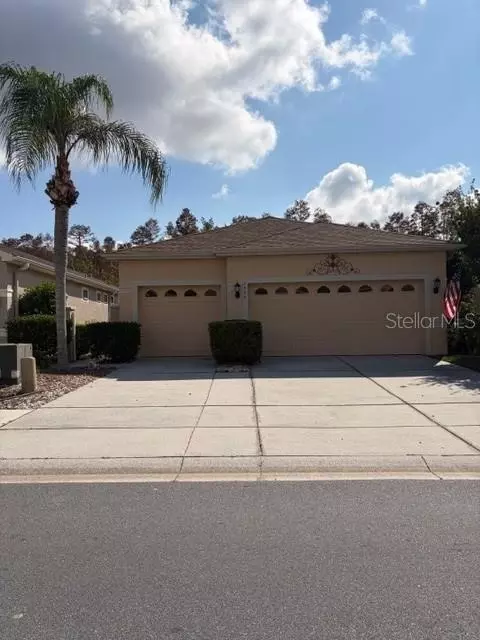Undisclosed, Land O Lakes, FL 34637