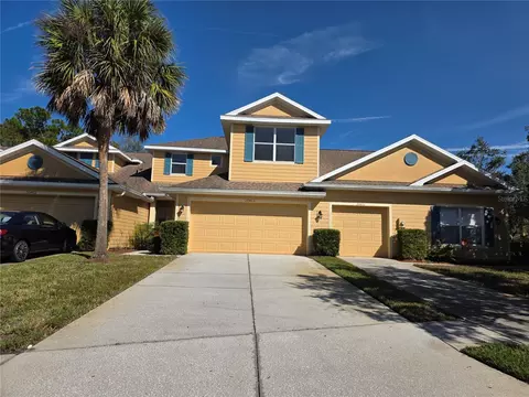 20403 Harvest Oak Ct, Tampa, FL 33647