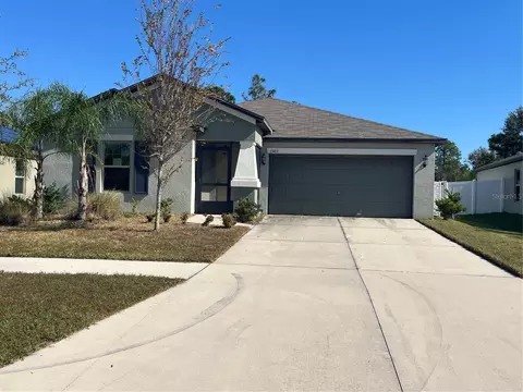 13403 Willow Bluestar Loop, Riverview, FL 33579 photo 1