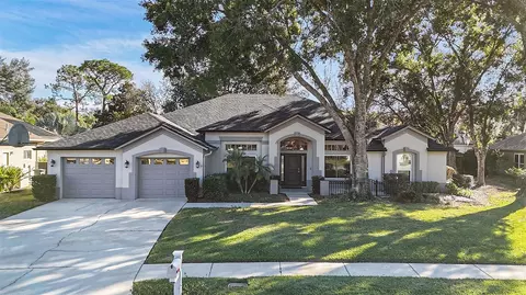 15818 Fairchild Dr, Tampa, FL 33647