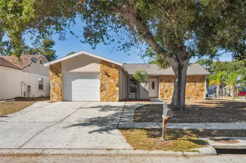 11321 Blackbark Dr, Riverview, FL 33579