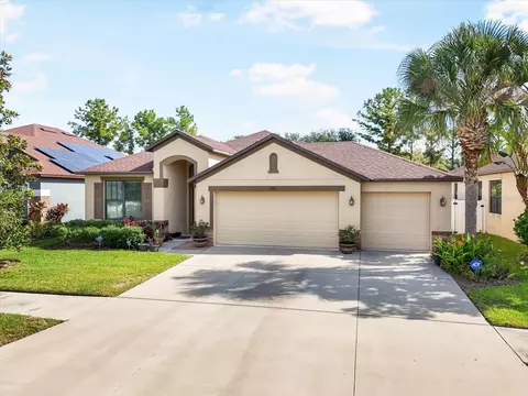 8522 White Poplar Dr, Riverview, FL 33578