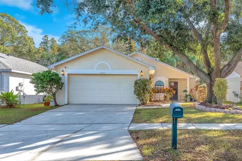 10838 Peppersong Dr, Riverview, FL 33578