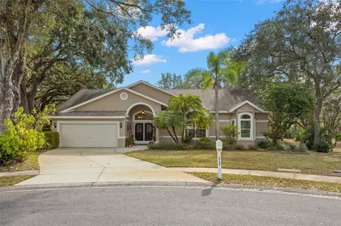 3734 Thornbush Ln, New Port Richey, FL 34655