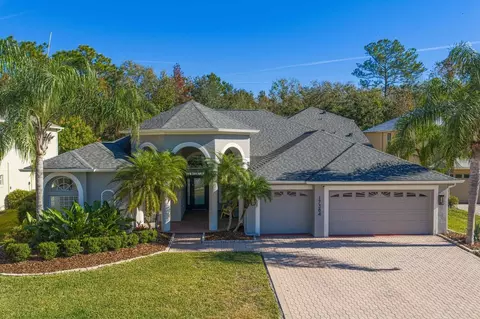 17384 Emerald Chase Dr, Tampa, FL 33647