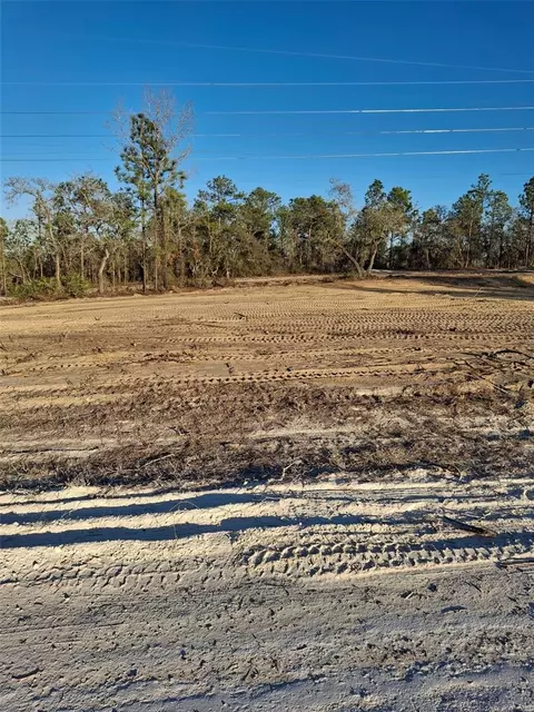 15176 Gonzo Rd, Weeki Wachee, FL 34614