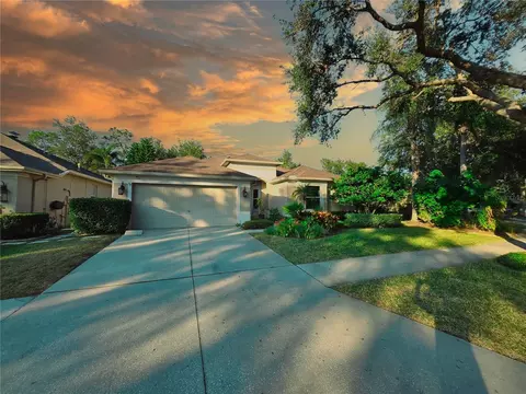 10118 Cannon Dr, Riverview, FL 33578