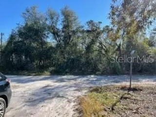 Hagar Drive, New Port Richey, FL 34652