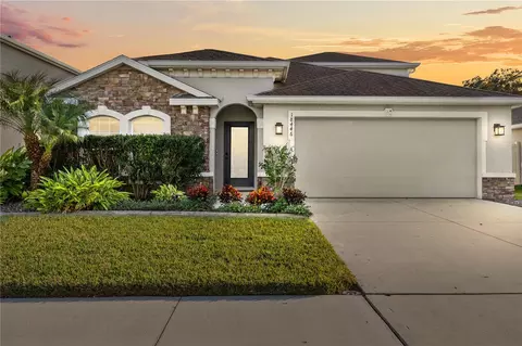 18446 Hunters Meadow Walk, Land O Lakes, FL 34638