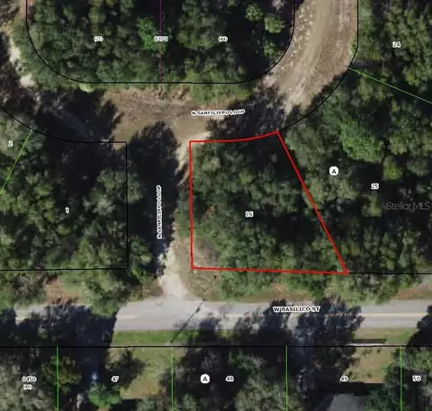 8549 N San Filippo Loop, Crystal River, FL 34428