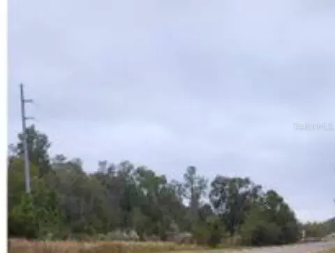 0 E Dade Ln, Spring Hill, FL 34610