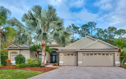 17388 Emerald Chase Dr, Tampa, FL 33647