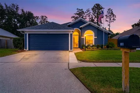 28907 Bay Tree Pl, Wesley Chapel, FL 33545