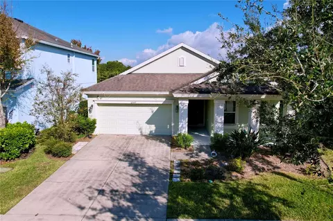 6507 Nestall Ct, Apollo Beach, FL 33572