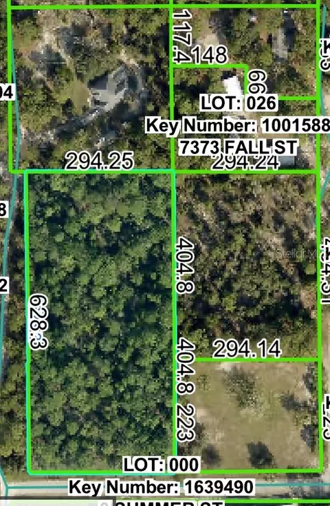 0 Horn Ave, Brooksville, FL 34613