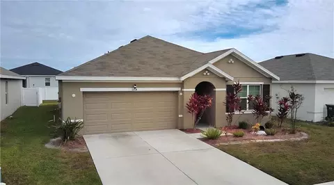 11714 Miracle Mile Dr, Riverview, FL 33578 photo 1