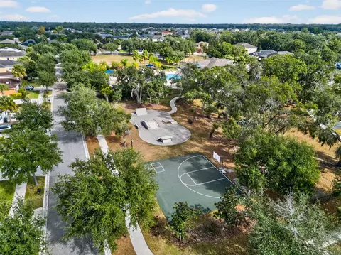 View/Area - 11403 Camden Yard Ln, Lithia, FL 33547 photo 5 of 8