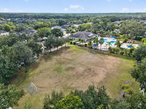 View/Area - 11403 Camden Yard Ln, Lithia, FL 33547 photo 7 of 8