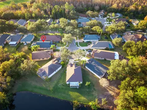 View/Area - 6006 Chellas Ct, Lutz, FL 33558 photo 3 of 15