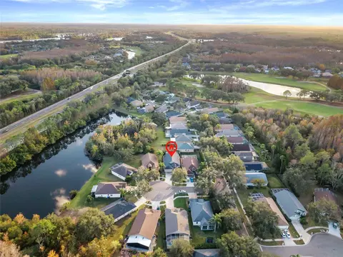 View/Area - 6006 Chellas Ct, Lutz, FL 33558 photo 10 of 15