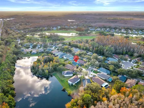 View/Area - 6006 Chellas Ct, Lutz, FL 33558 photo 9 of 15