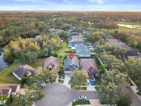 View/Area - 6006 Chellas Ct, Lutz, FL 33558 photo 8 of 15