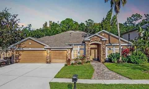 16121 Brecon Palms Pl, Tampa, FL 33647