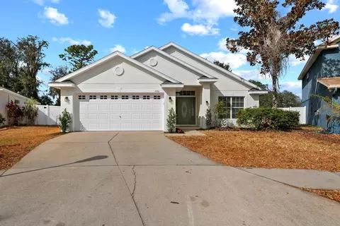 11112 Goldenrod Fern Dr, Riverview, FL 33569