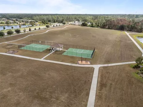 View/Area - 13549 Willow Bluestar Loop, Riverview, FL 33579 photo 6 of 7