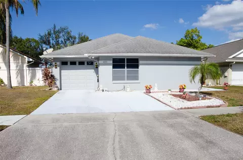 6021 Lemon Tree Ct, Tampa, FL 33625