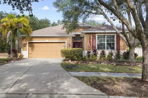 17425 New Cross Cir, Lithia, FL 33547