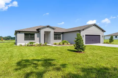 13494 Lake Gallagher Dr, Dover, FL 33527