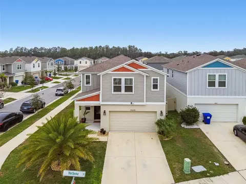 34245 Verbena St, Wesley Chapel, FL 33545