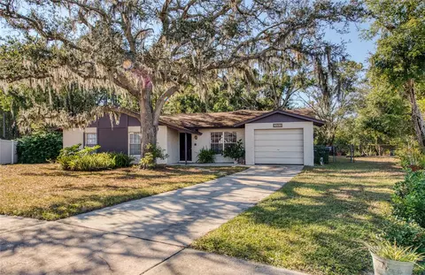 6521 Secrest Ct, Tampa, FL 33625