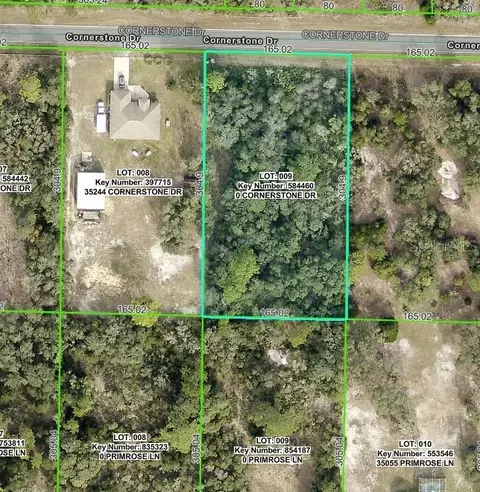 35264 Cornerstone Dr, Webster, FL 33597