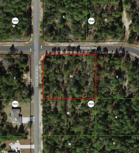 6777 N Hazelwood Dr, Citrus Springs, FL 34433