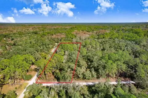 Sonia Avenue, Webster, FL 33597
