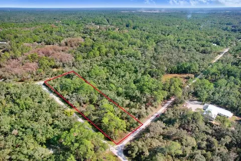 Sonia Avenue, Webster, FL 33597 photo 7