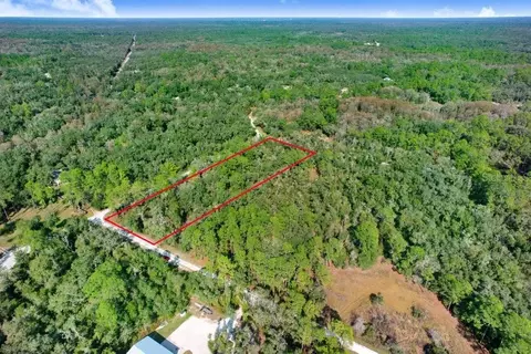 Sonia Avenue, Webster, FL 33597 photo 9