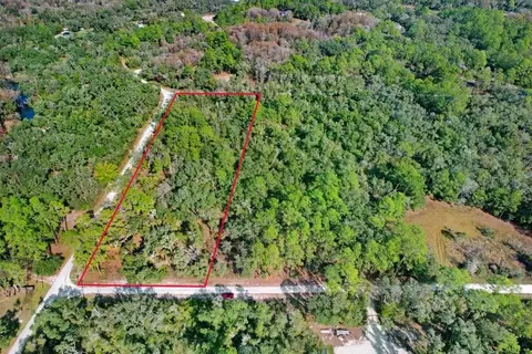 Sonia Avenue, Webster, FL 33597 photo 11