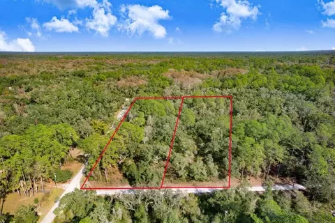 7292 Sonia Ave, Webster, FL 33597 photo 2