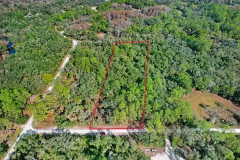 7292 Sonia Ave, Webster, FL 33597 photo 11