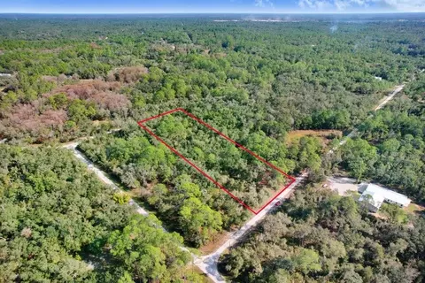7292 Sonia Ave, Webster, FL 33597 photo 7
